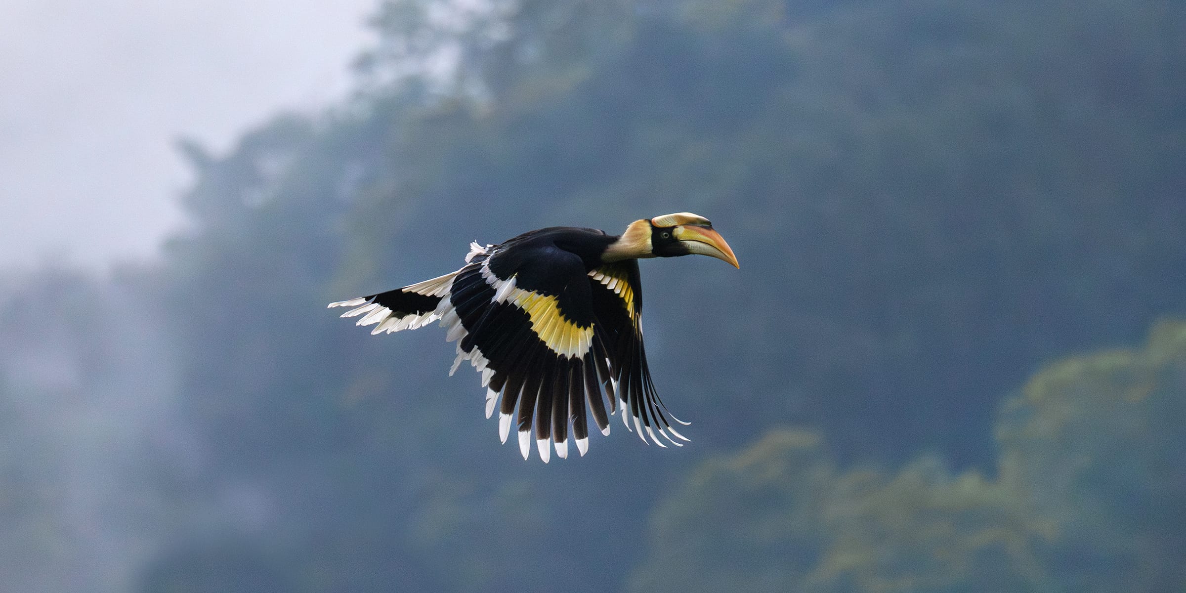 Wildlife photography tour India – Katrivia Expeditions