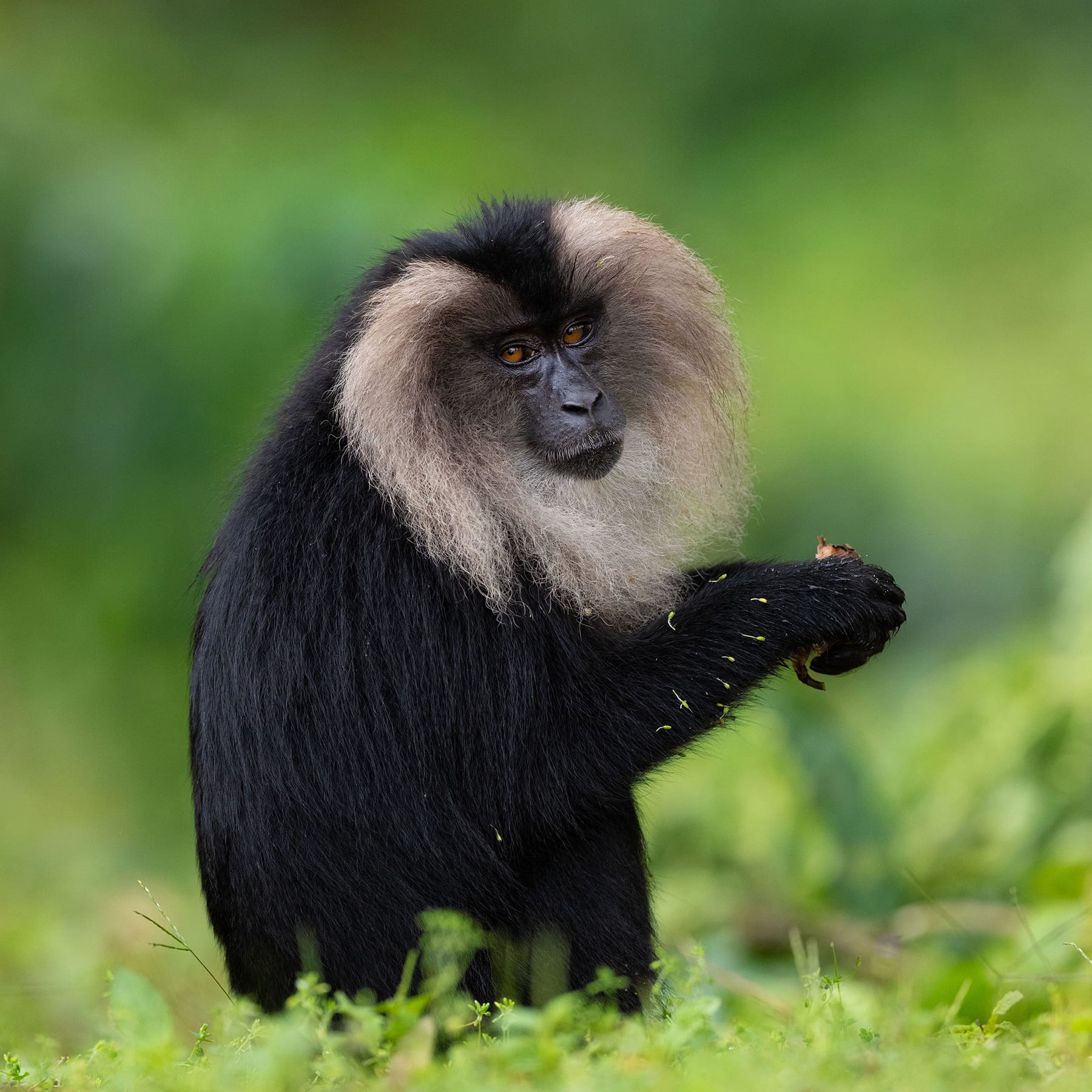 Wildlife photography tour India – Katrivia Expeditions