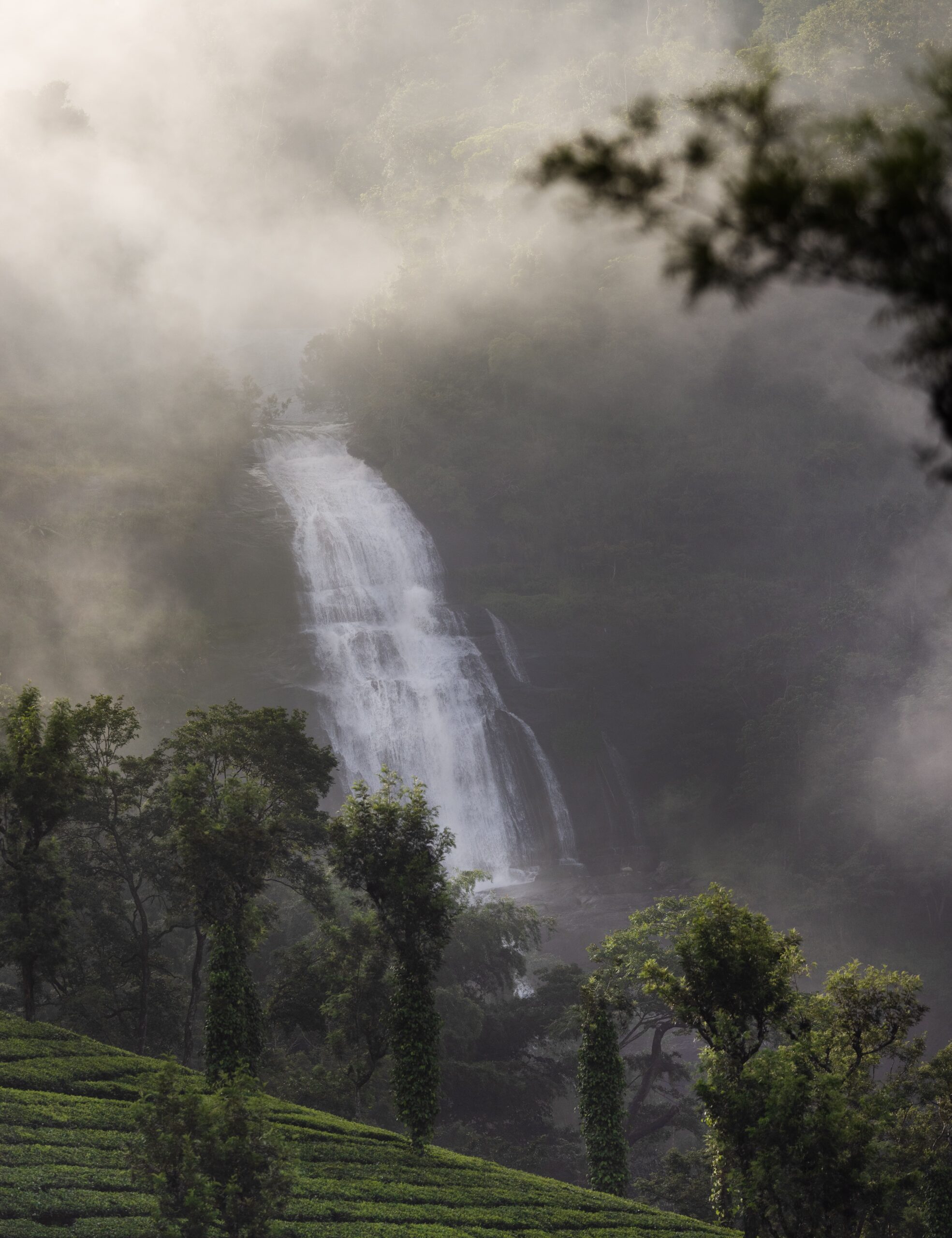 Wildlife photography tour India – Katrivia Expeditions