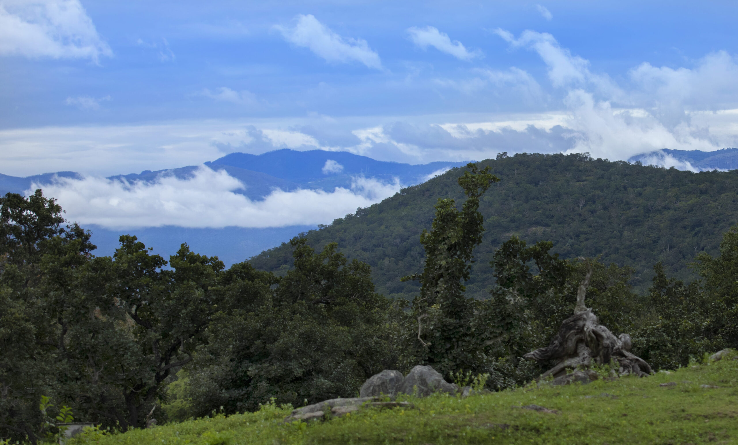 Wildlife photography tour India – Katrivia Expeditions